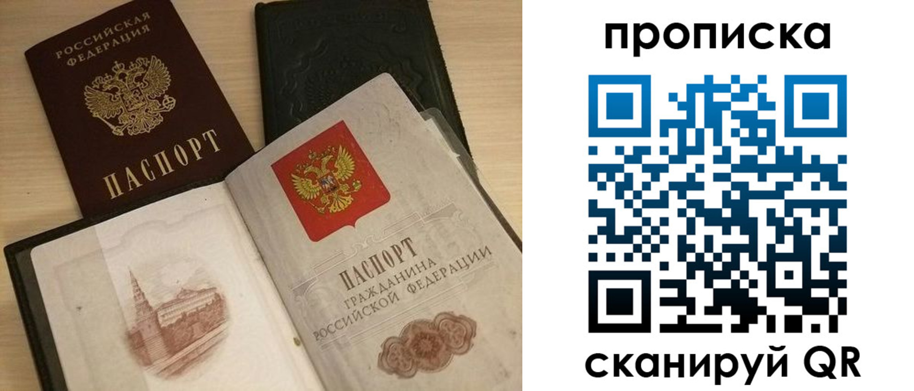 прописка в квартире в Новом Осколе